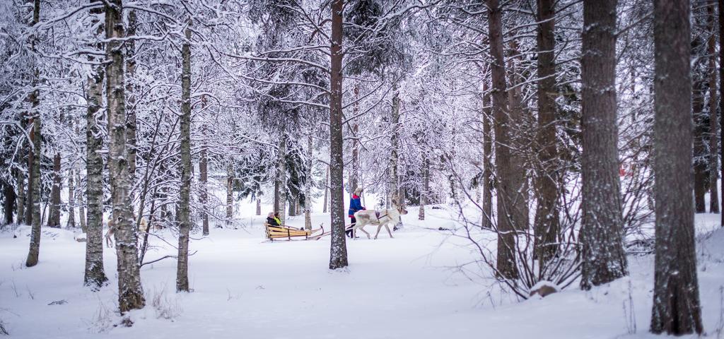 Lapland Igloo Hotel Ranua Kültér fotó