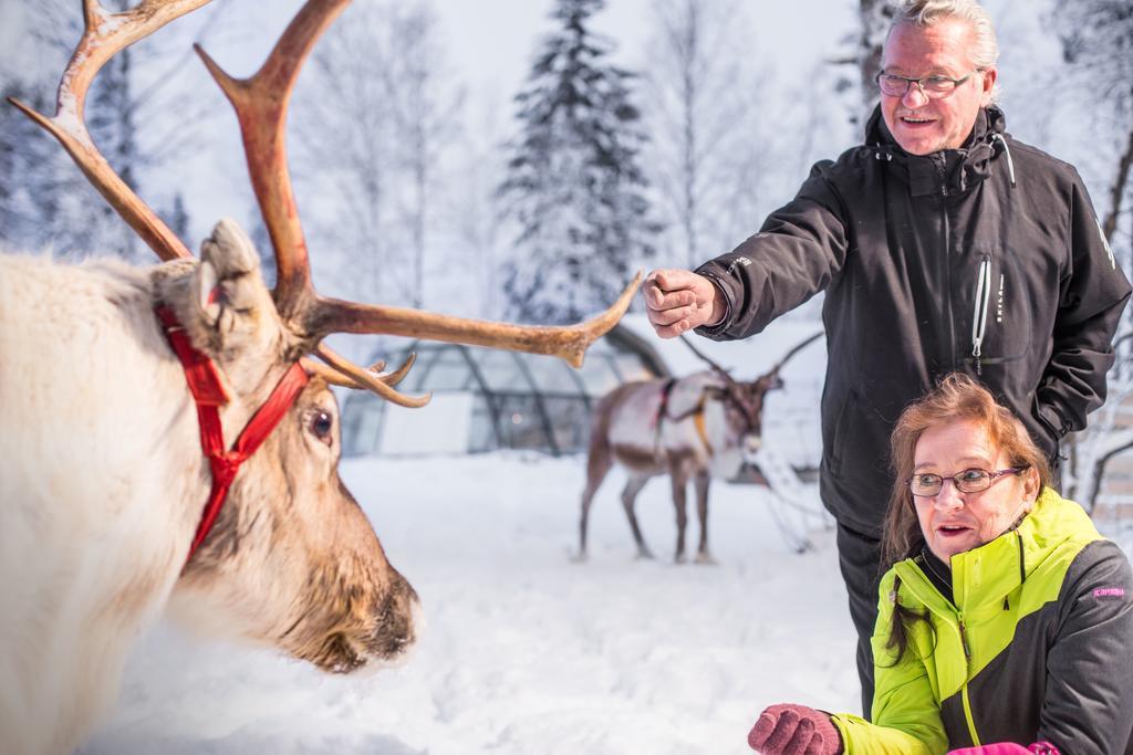 Lapland Igloo Hotel Ranua Kültér fotó