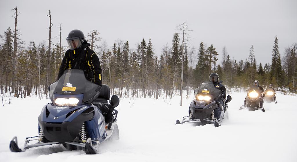 Lapland Igloo Hotel Ranua Kültér fotó