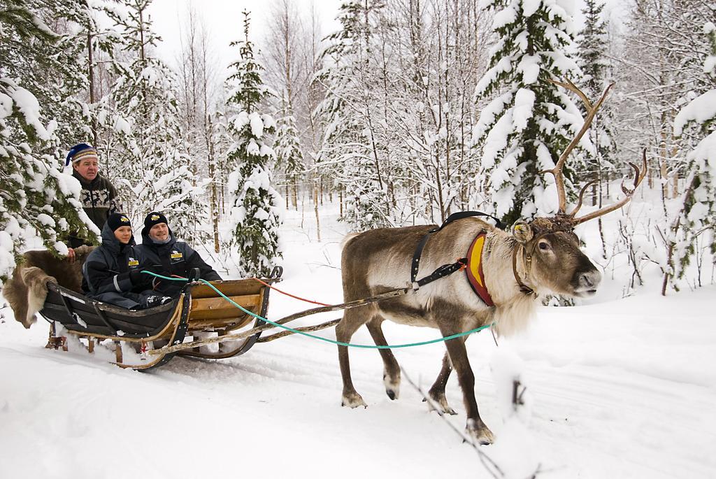 Lapland Igloo Hotel Ranua Kültér fotó