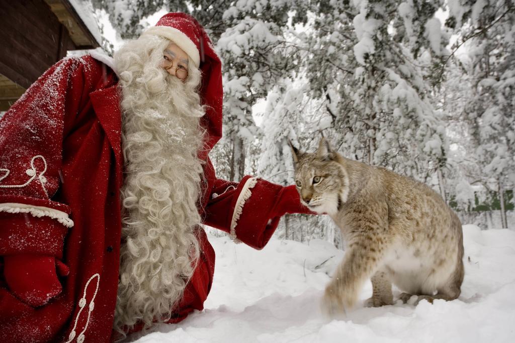 Lapland Igloo Hotel Ranua Kültér fotó